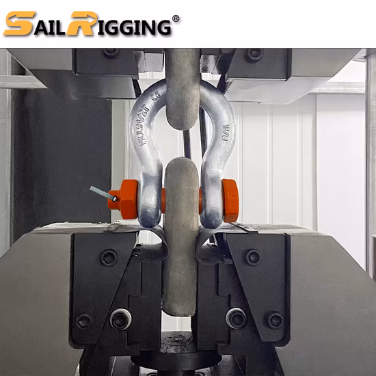 Manilha em forma de U galvanizada elétrica para equipamento de hardware por atacado